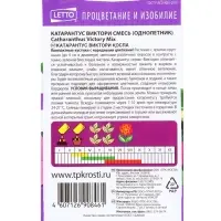 Семена цветов Катарантус Виктори смесь, однолетник, 10 шт