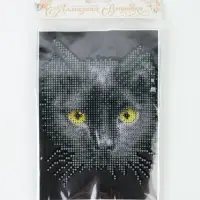 Алмазная мозаика с частичным заполнением на холсте &laquo;Чёрный кот&raquo;, 15&times;21 см