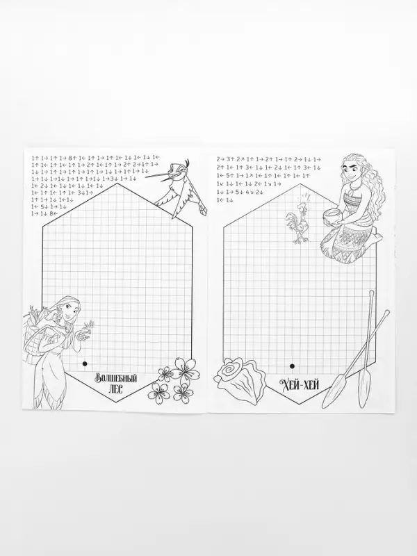 Графические диктанты для набора 10362084, 24 стр., 17&times;24 см