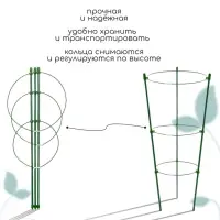 Кустодержатель, d=15&ndash;17&ndash;19 см, h=44 см, 3 кольца, металл, зелёный, Greengo