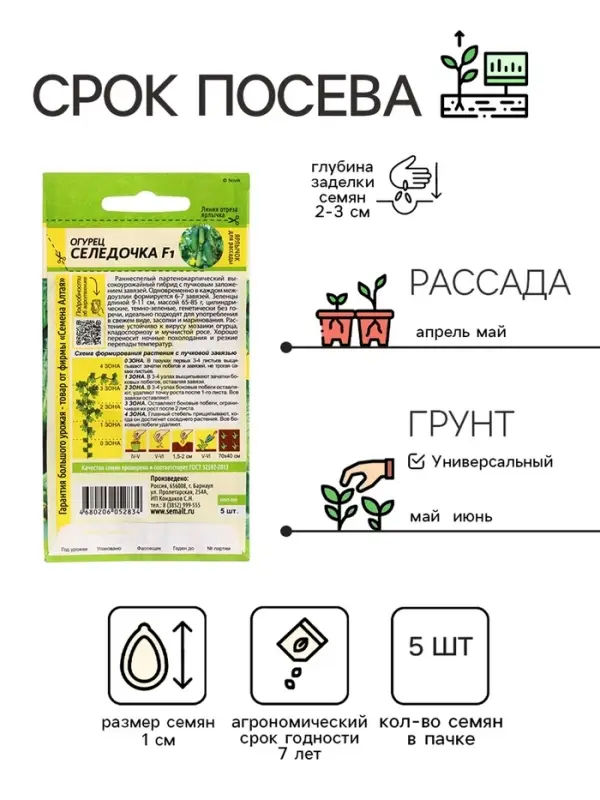 Семена Огурец &laquo;Селедочка&raquo;, F1, 5 шт., &laquo;Семена Алтая&raquo;
