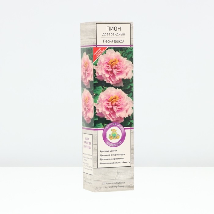 Пион древовидный (привитый на травянистый) Пион древовидный (привитый на травянистый) "Песня Дождя ", 1 шт, туба, Весна 2025