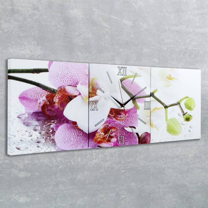Часы настенные, модульные, серия: Цветы, "Орхидеи", 35х110  см