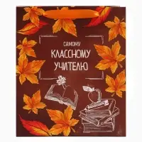 Пакет подарочный ламинированный &laquo;Учитель года&raquo;, ML 27&times;23&times;11.5 см