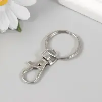 Брелок металл "Карабин с кольцом" серебро 2,8х6 см