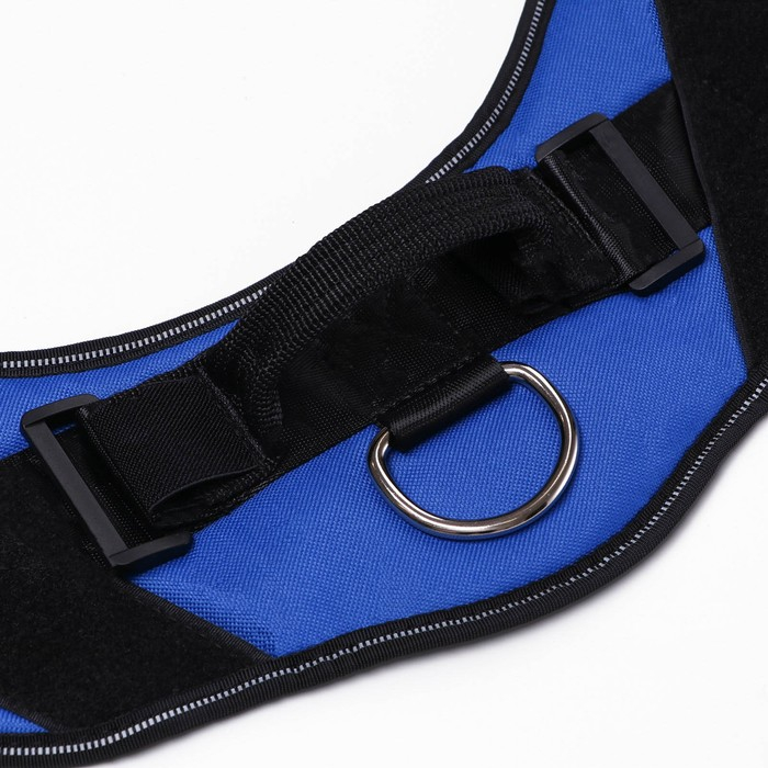 Шлейка К9 мягкая светоотражающая, размер ХL, ОГ 80-95 см, вес 30-45 кг, синяя Шлейка К9 мягкая светоотражающая, размер ХL, ОГ 80-95 см, вес 30-45 кг, синяя