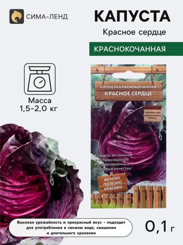 Семена Капуста краснокочанная &laquo;Красное сердце&raquo;, 0.1 г, &laquo;Поиск&raquo;
