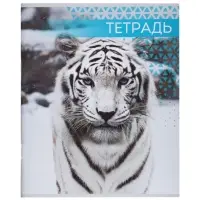 Тетради 48 листов в клетку, Calligrata &laquo;Дикие кошки&raquo;, 4 штуки