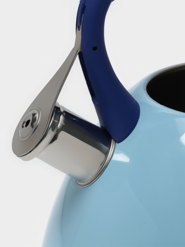 Чайник со свистком из нержавеющей стали Доляна «Свиристель», 3 л, цвет голубой