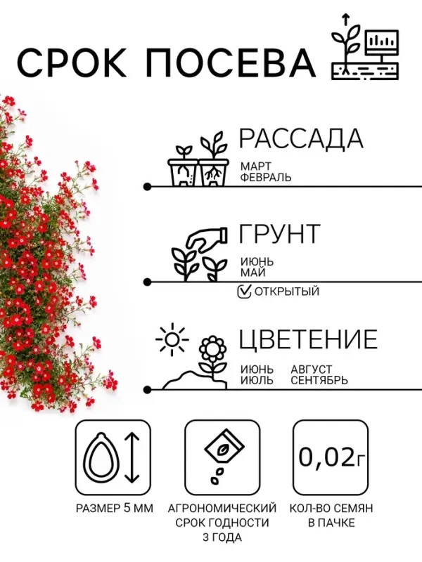 Семена цветов Лобелия плетистая "Красный фонтан", 0,02 г