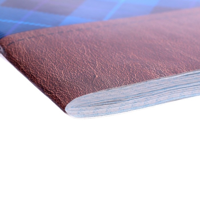 Тетрадь А4, 96 листов в клетку Calligrata Тетрадь А4, 96 листов в клетку Calligrata "Синяя шотландка", обложка мелованный картон, блок №2, белизна 75% (серые листы)