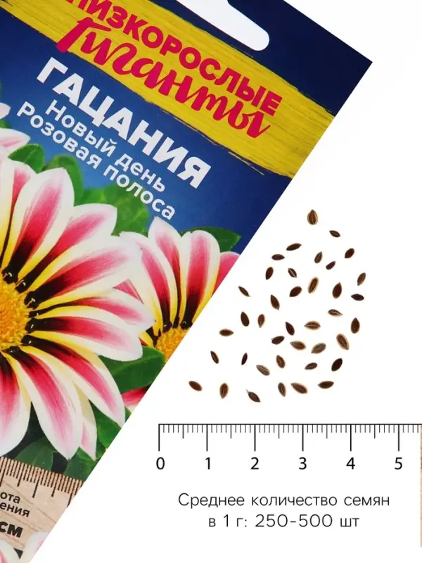 Семена цветов Гацания Новый день &laquo;Розовая полоса&raquo;, ц/п, для балкона, веранды, цветника, однолетник, низкорослая, ц/п, 5 шт.
