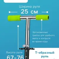 Самокат-снегокат 2 в 1 Snow Cat, колёса 100 мм, чёрный