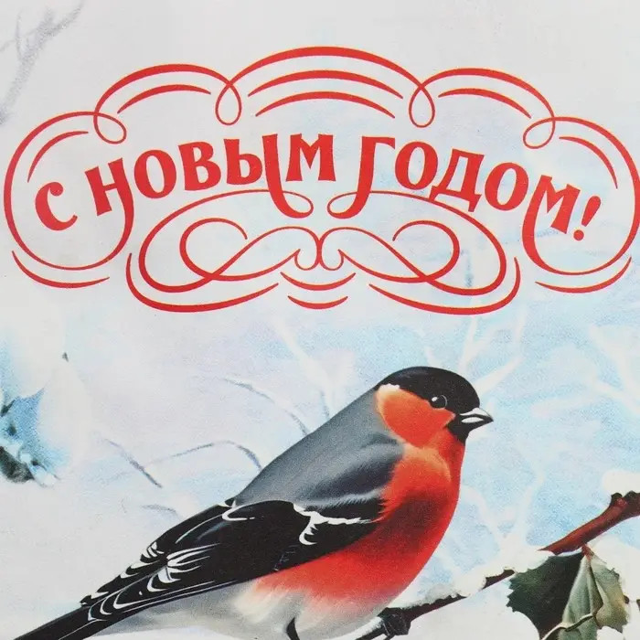 Пакет подарочный новогодний крафтовый «Зимушка», 15 х 10 х 6 см