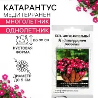 Семена цветов Катарантус ампельный &laquo;Медитерранен розовый&raquo;, 5 шт.