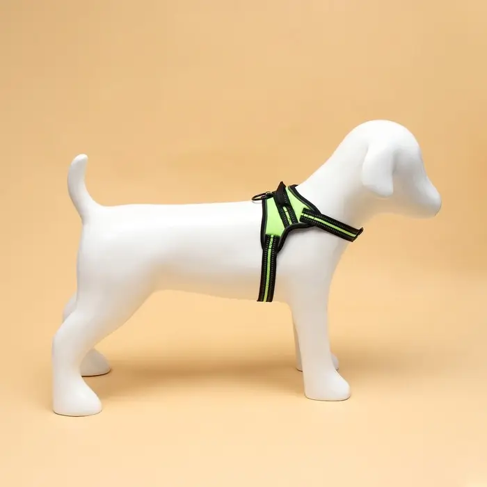 Шлейка улучшенная К7, размер S, ОГ 44-55 см, вес 5-9 кг, мягкая, светоотражающая, зелёная