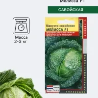 Семена Капуста савойская &laquo;Мелисса&raquo;, F1, 10 шт., &laquo;Агроника&raquo; селекция Bejo Zaden