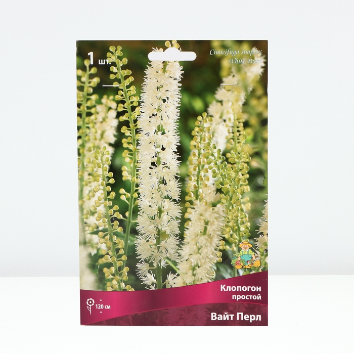 Клопогон простой Вайт Пёрл, р-р I, 1 шт, Весна 2025