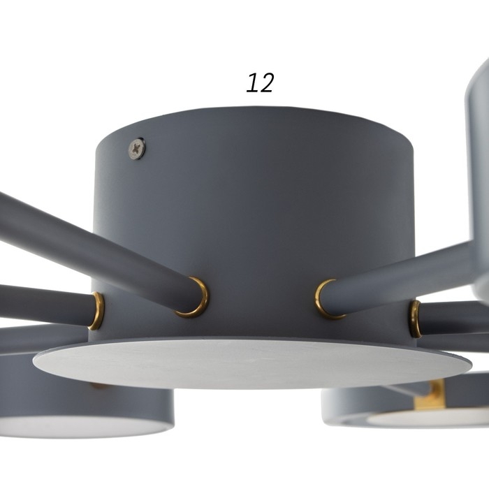 Люстра с ПДУ 2301/8GR LED 160Вт 3000-6000К серый 93х93х8 см BayerLux