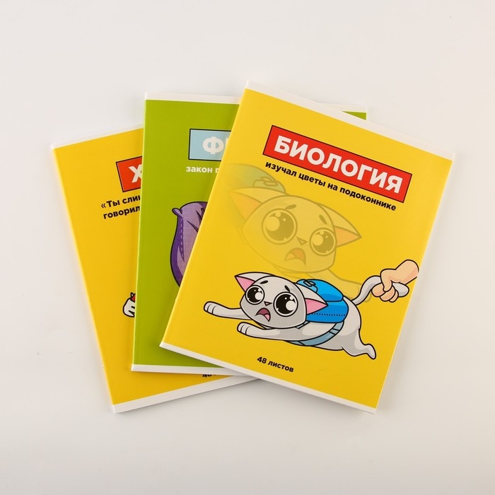 Набор тетрадей А5, 48 л "Персонажи" биология, физика, химия
