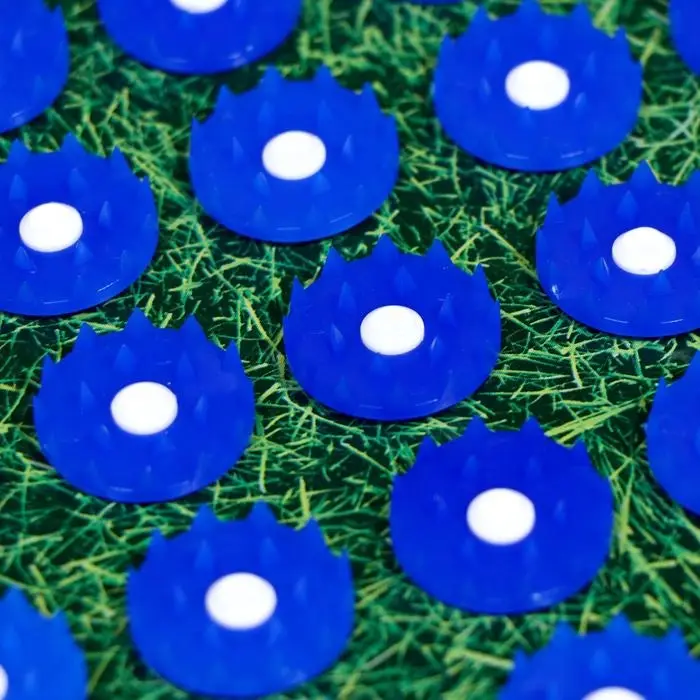 Аппликатор Аппликатор "Кузнецова - Самой прекрасной", 70 колючек, плёнка, 23х32 см, синий