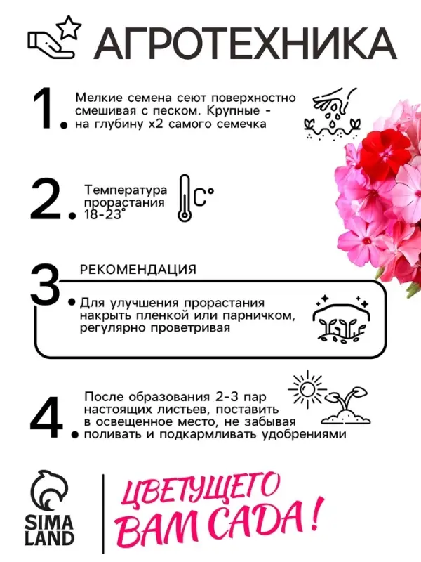 Семена цветов Флокс  Семена цветов Флокс "Разноцветная смесь", 0,1 г