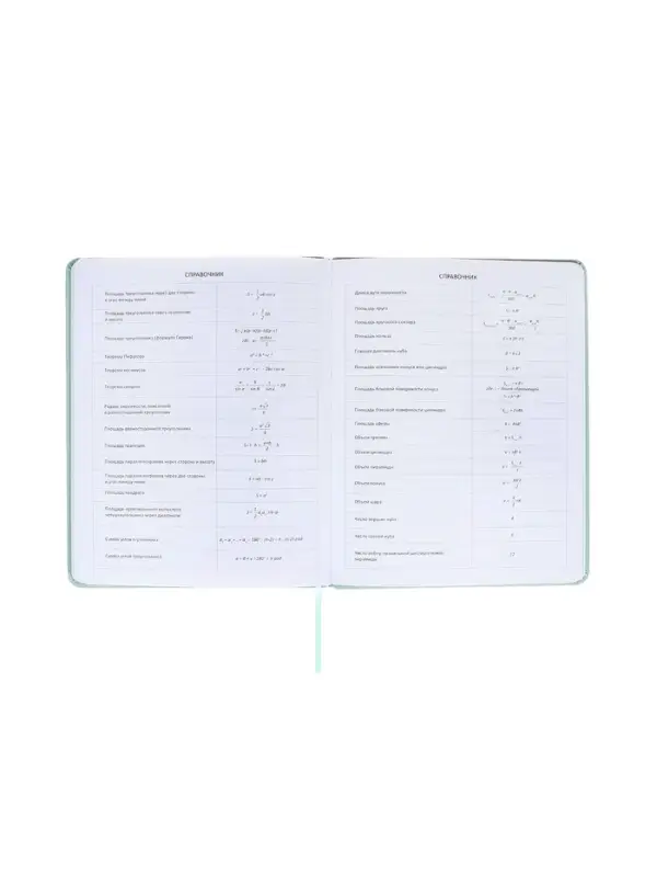 Дневник школьный 1-11 класс, deVENTE. deVENT.Flower, искусственная кожа, мятный