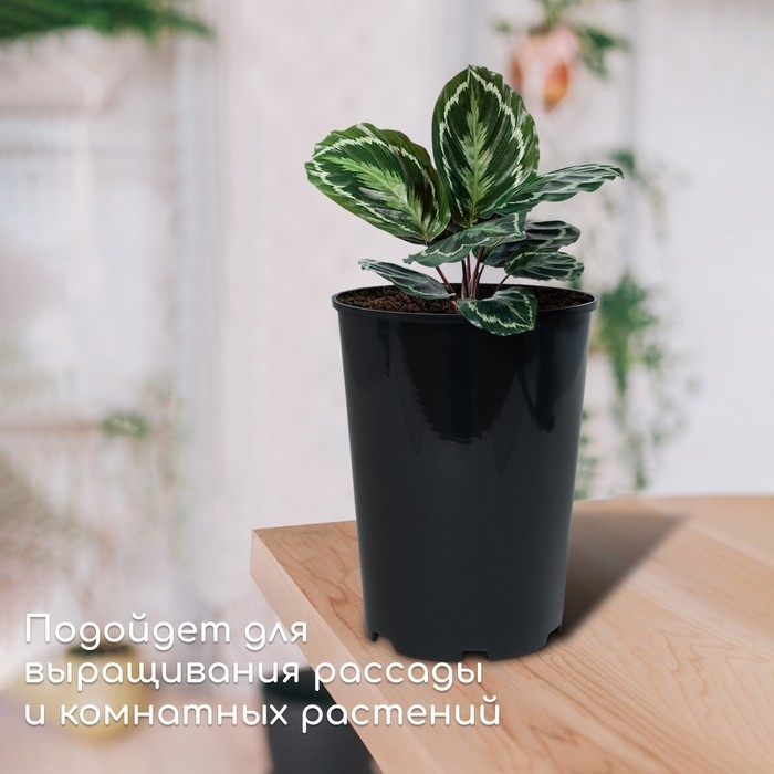 Горшок для рассады, для роз, 4 л, d = 18 см, h = 21,5 см, чёрный, Greengo Горшок для рассады, для роз, 4 л, d = 18 см, h = 21,5 см, чёрный, Greengo