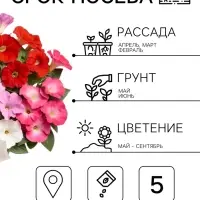 Семена цветов Петуния &laquo;Минифлора горшечная&raquo; F1, смесь сортов, 5 шт., &laquo;АЭЛИТА&raquo;