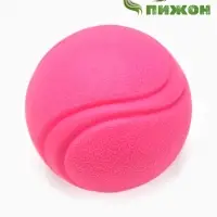 Мячик для собак, 6 см, цельнолитой, прыгучий, TPR, розовый