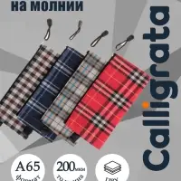 Папка-конверт на молнии А65 Calligrata &laquo;Шотландка&raquo;, 300 мкм, плотная, МИКС