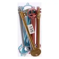 Ручка-прикол Calligrata &laquo;Ключ&raquo;, разные стержня, гелевая, МИКС