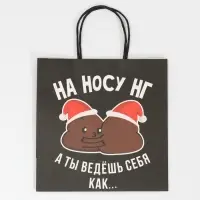 Пакет подарочный новогодний &laquo;На носу НГ&raquo;, 22&times;22&times;11 см
