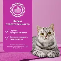 Сухой корм Whiskas для кошек, курица/индейка, подушечки, 800 г