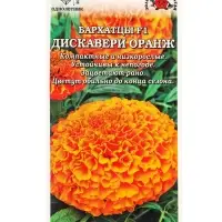 Семена Бархатцы Дискавери оранж F1 /Сотка/ 5шт/ прям. 25см, d-9см/*1500 Семена Бархатцы Дискавери оранж F1 /Сотка/ 5шт/ прям. 25см, d-9см/*1500