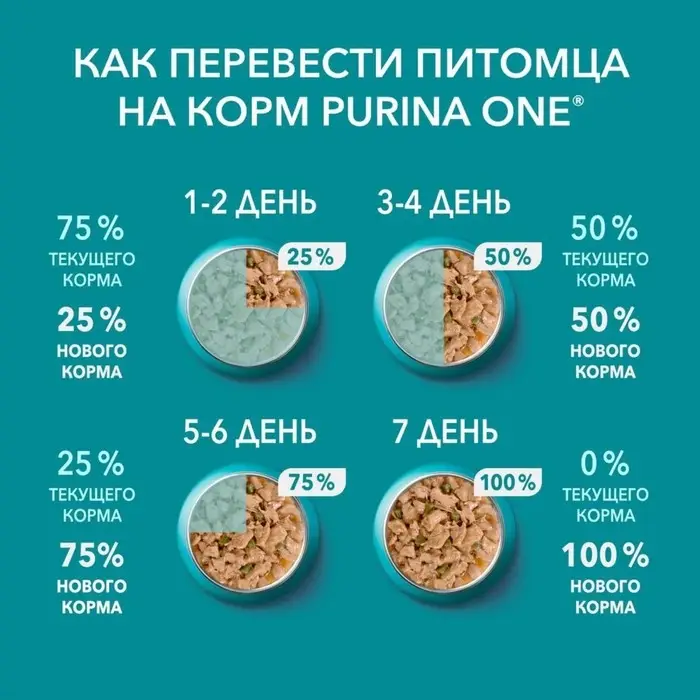 Влажный корм Purina One для кошек, говядина/морковь, 75 г