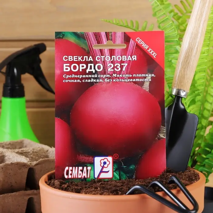 Семена Свекла &laquo;Бордо 237&raquo;, XXXL, &laquo;Сембат&raquo;, 7 г