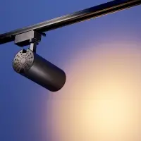 Трековый светильник Luazon lighting, TSL-013, 30 Вт, 2100 Лм, 2800K, чёрный, свечение тёплое белое