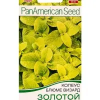 Семена цветов Колеус блюме Золотой Мн Спецсерия PanAmerican, Ц/П,5 шт. Семена цветов Колеус блюме Золотой Мн Спецсерия PanAmerican, Ц/П,5 шт.