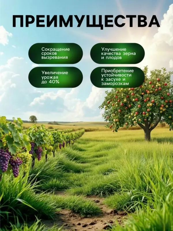 Органическое удобрение для плодово-ягодных культур Greenlife, 500 мл