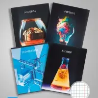 Тетради предметные Calligrata TOP &laquo;Школьный стиль&raquo;, 10 предметов, 48 листов, со справочным материалом, пластиковая обложка