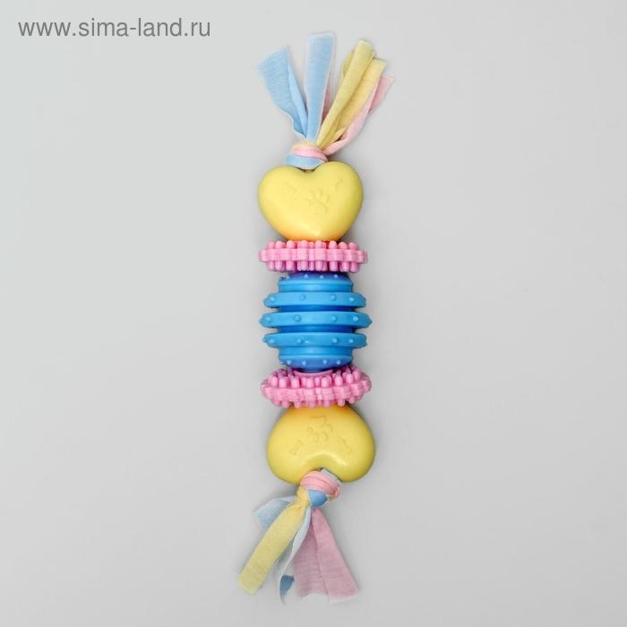 Игрушка жевательная для собак Пижон Premium на верёвке, 5 элементов, термопластичная резина, микс Игрушка жевательная для собак Пижон Premium на верёвке, 5 элементов, термопластичная резина, микс