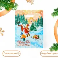 Пакет «С Новым Годом и Рождеством», полиэтиленовый с вырубной ручкой, 30×40 см