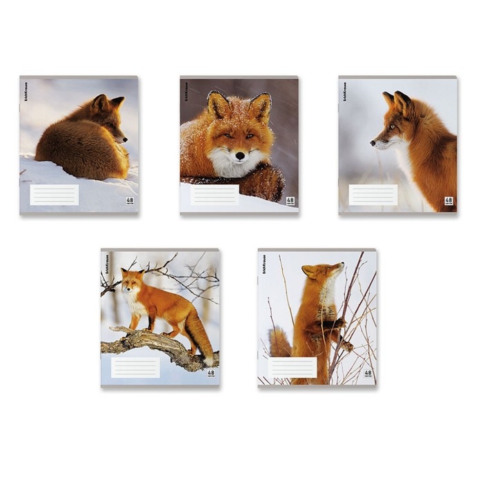 Тетрадь В5, 48 листов в клетку, ErichKrause Тетрадь В5, 48 листов в клетку, ErichKrause "Лисы", пластиковая обложка, блок офсет 100% белизна, МИКС