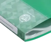 Папка с 60 вкладышами А4, 500 мкм, Calligrata, карман на корешке, зелёная