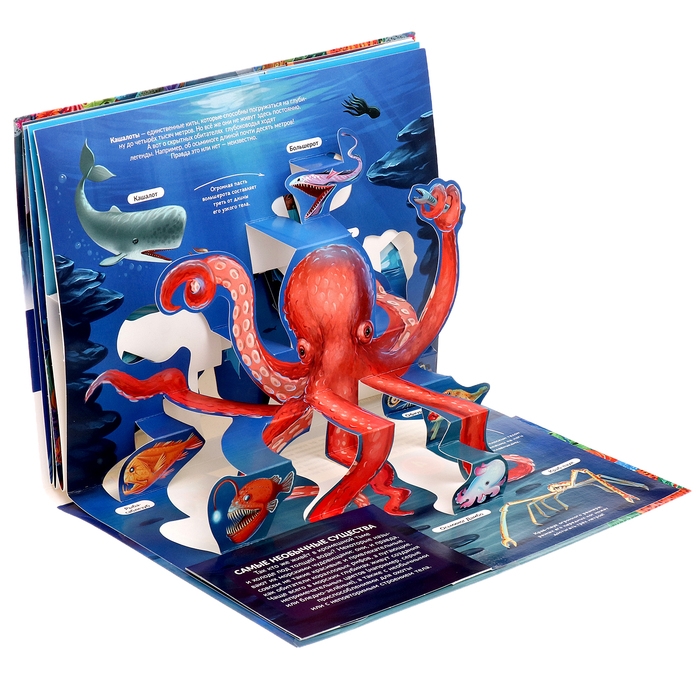 3D энциклопедия-панорамка «Море» 3D энциклопедия-панорамка «Море»