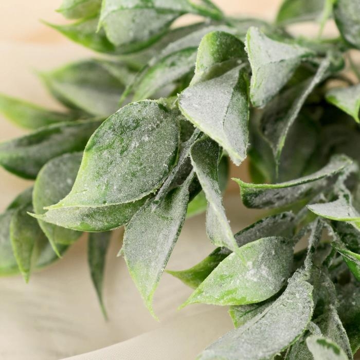 Букет Букет "Травка широкие листья" 30 см