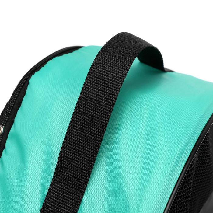 Сумка - переноска для животных, оксфорд, 36 х 17 х 25 см, зелёная Сумка - переноска для животных, оксфорд, 36 х 17 х 25 см, зелёная