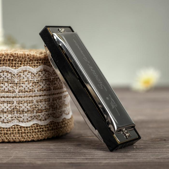 Губная гармошка Swan SW1020-10 Губная гармошка Swan SW1020-10