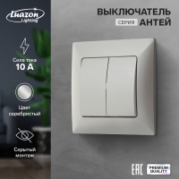 Выключатель Luazon Lighting "Антей", 10 А, 2 клавиши, скрытый, серебристый